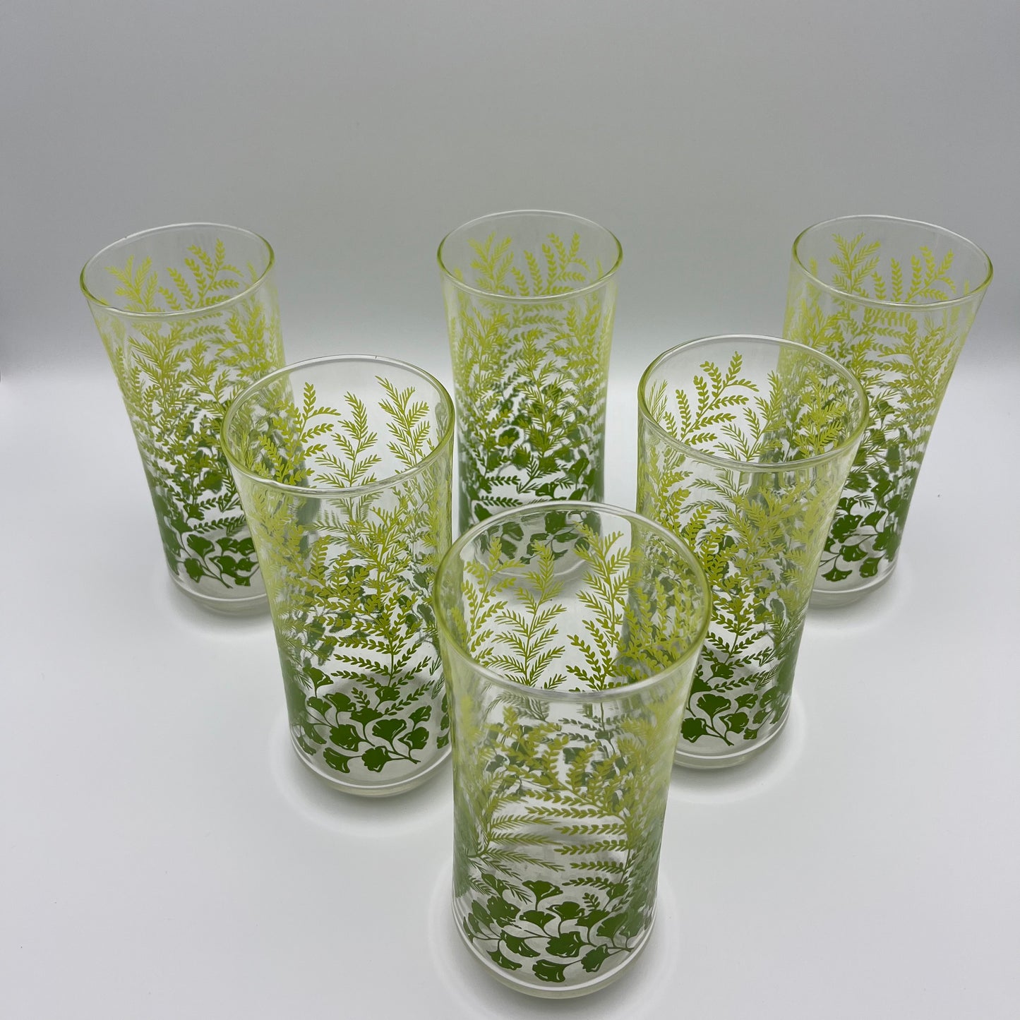 1970s Libbey Fern & Ginkgo Leaves Tumbler Glasses (Set of 6)