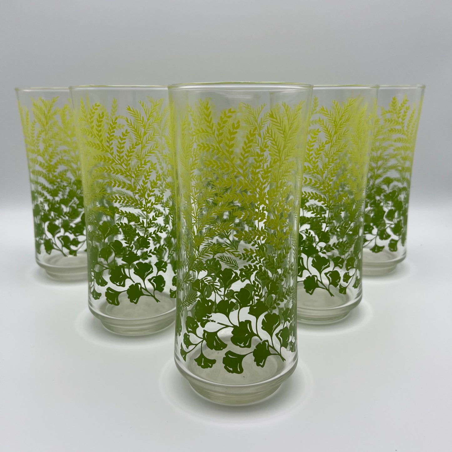 1970s Libbey Fern & Ginkgo Leaves Tumbler Glasses (Set of 6)